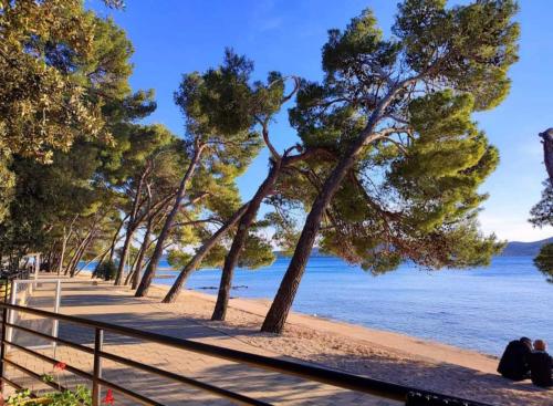 比奥格勒·纳·莫鲁Ana Mobile Home - Kamp Soline - Biograd na Moru的一片树木繁茂的海滩,一片大海