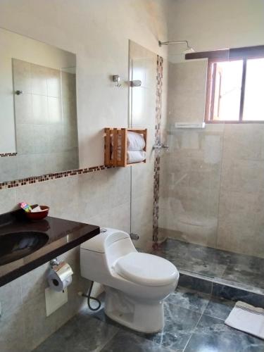 莱瓦镇Hotel El Peregrino De La Villa的浴室配有卫生间、盥洗盆和淋浴。