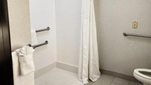兰辛南芝加哥兰辛快捷假日&套房酒店的带淋浴帘和卫生间的浴室
