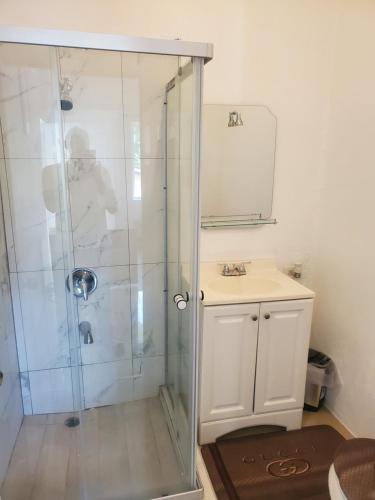 安东尼奥港Comfy Guest Rooms的带淋浴、水槽和镜子的浴室