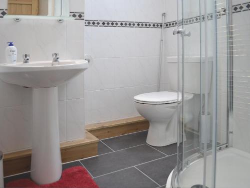 Talybont利奇德茅尔乡村别墅酒店的浴室配有卫生间、盥洗盆和淋浴。
