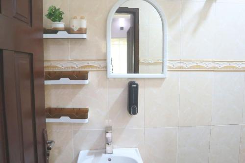 伊凯贾1 Bedroom Entire APT - Kitchen - Wi-Fi的一间带水槽和镜子的浴室
