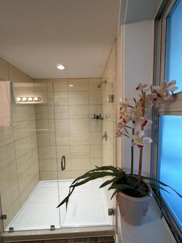 尤克卢利特湾岸海滨旅馆的带淋浴和盆栽的浴室