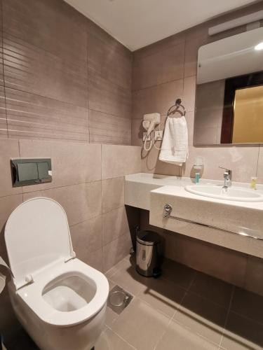 Umm UthainahDara apartment hotel的一间带卫生间和水槽的浴室