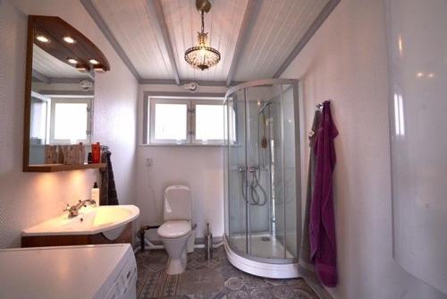 卡尔斯塔德Luxury cosy cottage by the sea的带淋浴、卫生间和盥洗盆的浴室