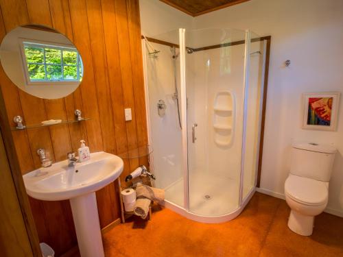 塔卡卡Bay Cottage - Takaka Holiday Unit的带淋浴、盥洗盆和卫生间的浴室