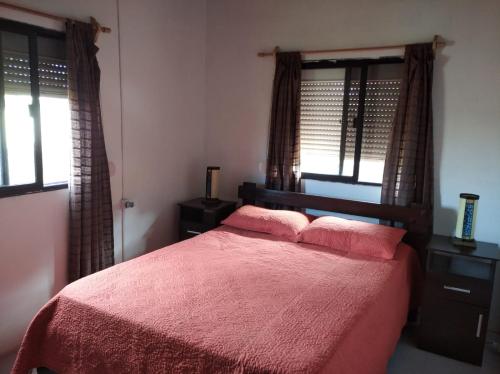 阿加斯杜尔斯Novgorod的一间卧室配有一张带粉红色床单和窗户的床。