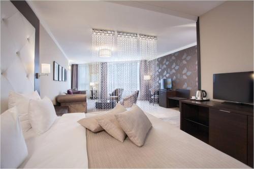 贝尔格莱德君士坦丁大帝酒店的一间带大床的卧室和一间客厅
