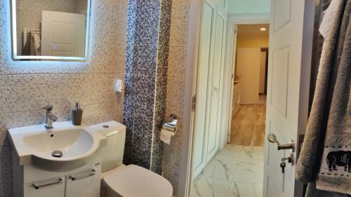 蒂米什瓦拉Timisoara Central的一间带水槽、卫生间和镜子的浴室