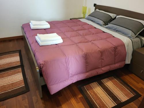 特雷梅佐Residence Belvedere Apartment Bolvedro的粉红色的床,上面有两条毛巾