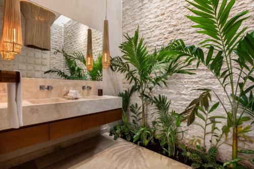 巴利亚多利德Olbil Hotel Boutique的一间带水槽和一些植物的浴室