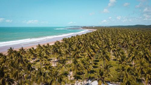 累西腓Paiva (Barra Home Stay) Luxuoso - vista incrível 26 andar的棕榈树海滩的空中景致