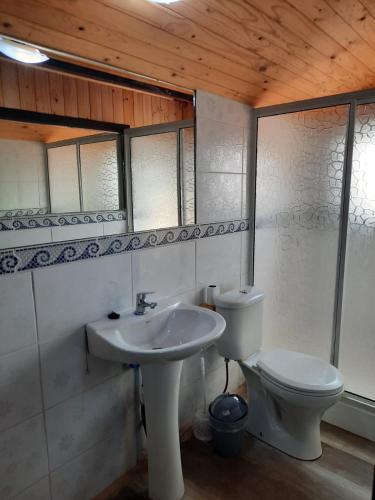埃尔基斯科PUNTA DE TRALCA SUITES的浴室配有白色水槽和卫生间。