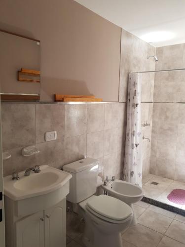 科隆Departamento Zona Centro 2 a 4 personas的浴室配有卫生间、盥洗盆和淋浴。