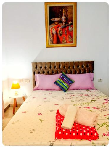 西迪·布·赛义德Élégante Maison ' in Sidi Bou Saïd confartable, Spacieux, Central的一间卧室配有一张带紫色和粉色枕头的床