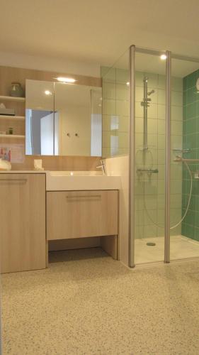 瑟堡DOMITYS LES SALINES的带淋浴、盥洗盆和浴缸的浴室