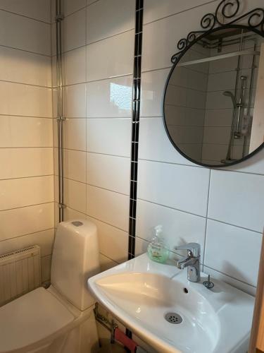 VittarydB & B Flattinge Fritidshus的一间带水槽、镜子和卫生间的浴室