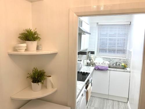 伦敦Park West Apartment的架子上的厨房配有白色家电和植物