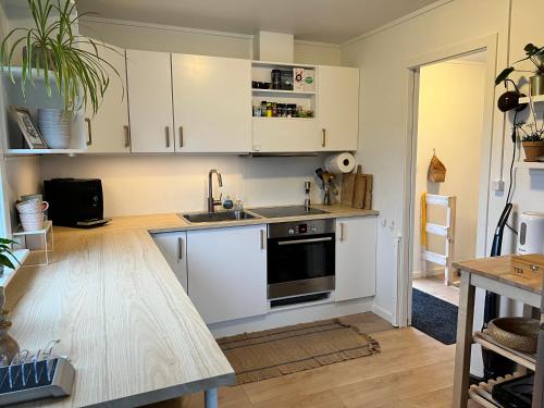 TvøroyriSummarhús29的厨房配有白色橱柜和水槽
