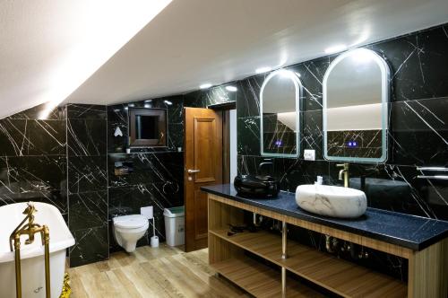 锡纳亚Chalet jolie Luxury Vila Sinaia的一间带水槽和卫生间的浴室