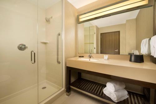 格雷普韦恩达拉斯-沃斯堡机场北/格雷普韦恩万怡酒店的一间带水槽和淋浴的浴室