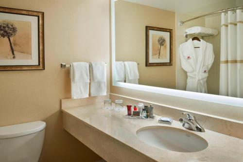 渥太华渥太华万豪酒店的一间带水槽、卫生间和镜子的浴室