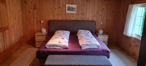 NesslauFerienhaus Seuzach的一间卧室配有一张带两个枕头的床