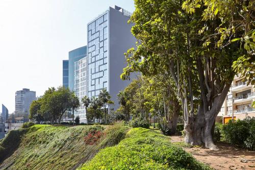 利马AC Hotel by Marriott Lima Miraflores的一座树木繁茂的公园和一座高大的建筑