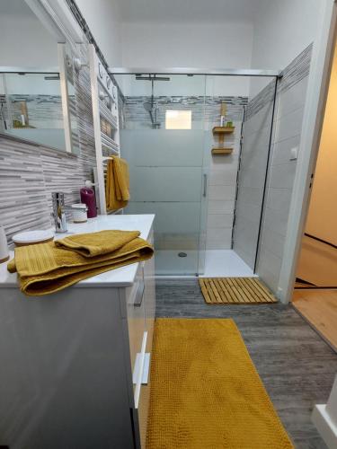 贝尔热拉克L'Appartement Gabriel T2的带淋浴、水槽和玻璃淋浴间的浴室