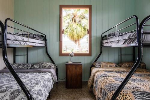 庞塞Cabin mountain view near Ponce slepts 8的客房设有两张双层床和一扇窗户。