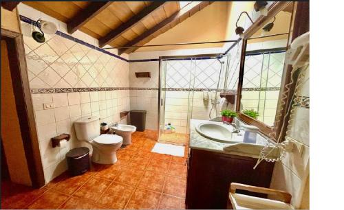 比拉夫洛尔Casa Rural Finca Paraíso. Heated pool的一间带卫生间、水槽和镜子的浴室