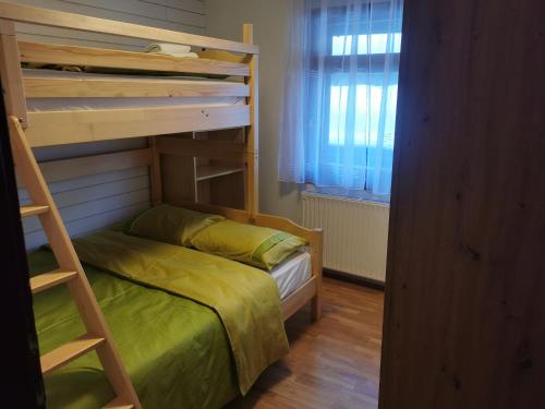 克拉尼斯卡戈拉Cosy Forest的一间带双层床和梯子的小卧室