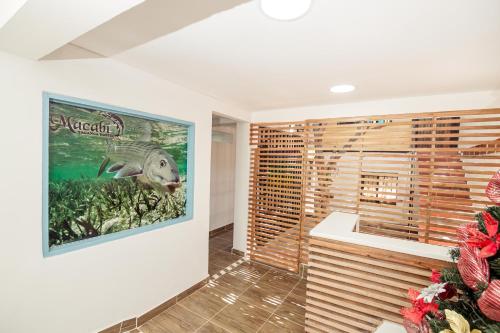 圣玛尔塔taganga macabi hostel的浴室墙上挂有鱼画