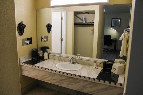 本德戴斯本德酒店的一间带水槽和大镜子的浴室