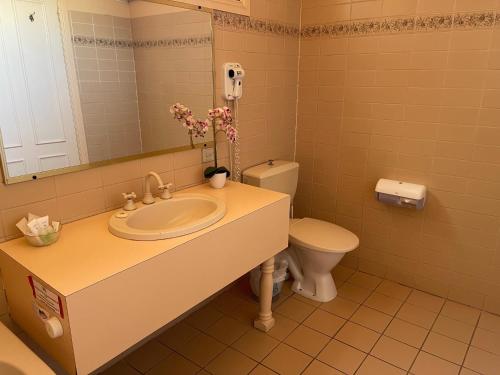 伊丘卡费城汽车旅馆 的一间带水槽、卫生间和镜子的浴室