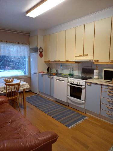 Metsälä的厨房或小厨房