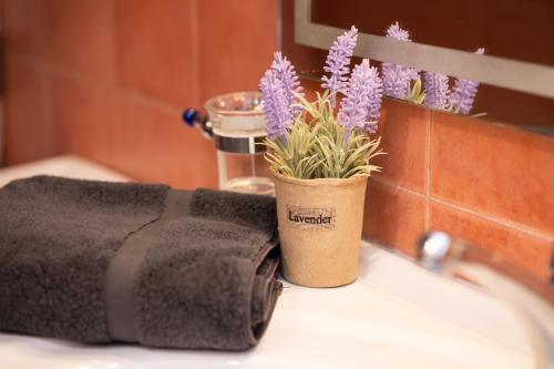 塞萨洛尼基Fobillo Apartment at Charilaou的浴室水槽上的一个盆栽植物,带毛巾