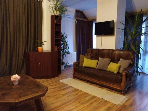 豪伊杜索博斯洛Erzsébet Vendégház és Apartman的客厅配有带黄色枕头的棕色皮沙发