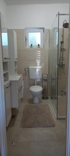 坎普尔Zvjezdana的一间带卫生间和玻璃淋浴间的浴室