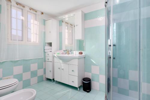奥尔比亚L'appartamento di Giusi的一间带水槽、卫生间和淋浴的浴室