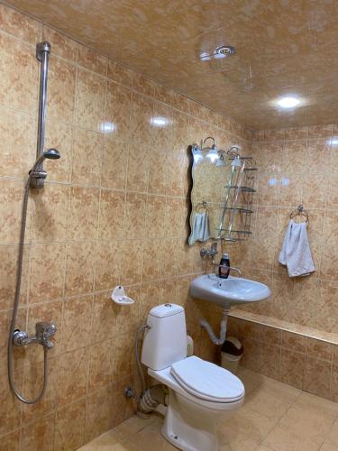 埃里温Eco的浴室配有卫生间、淋浴和盥洗盆。