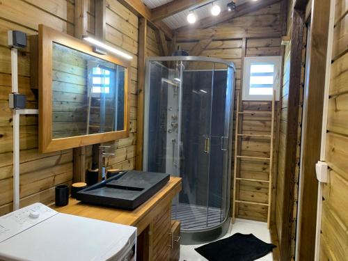 GarnierMajor Holidays的带淋浴、水槽和镜子的浴室