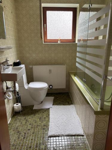 普福尔茨海姆Ferienwohnung Schwarzwald的浴室配有卫生间、盥洗盆和淋浴。