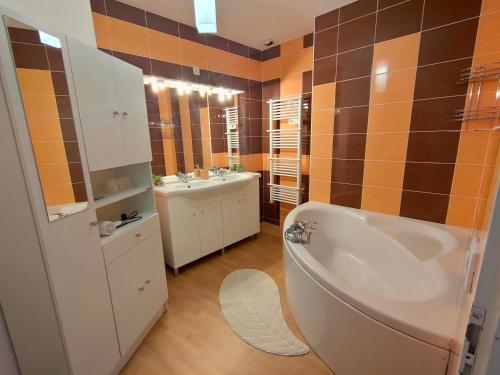 卢尔德Luxury Loft Lourdes的带浴缸、盥洗盆和卫生间的浴室