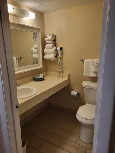 代托纳海滩Beachside Hotel - Daytona Beach - NO POOL的一间带水槽、卫生间和镜子的浴室