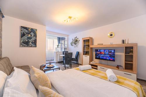 布拉索夫JAD - Luxury Studio - Soarelui 10的客厅配有大床和电视