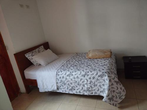 波帕扬Hotel Lili Popayán - Sede 2的一间小卧室,配有一张床和一个枕头