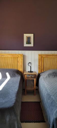 圣本图-杜萨普卡伊La Trinca Casas Charmosas的一间卧室配有两张床和一张带台灯的桌子