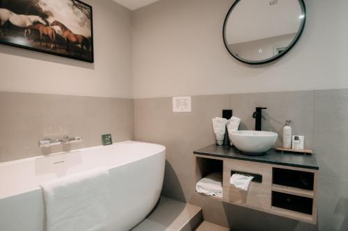 伊皮Witte Berken Natuurhotel的浴室设有白色水槽和镜子