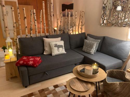 赛格Studio Hase Saig的客厅配有带枕头和桌子的灰色沙发